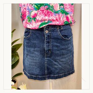 We The Free Denim Skirt